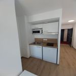 Appartement de 17 m² avec 1 chambre(s) en location à Lyon