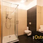 Rent 3 bedroom apartment of 57 m² in Ostrava