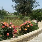 Rent 4 bedroom house of 100 m² in Galatone