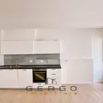 Rent 3 bedroom apartment of 80 m² in Padova