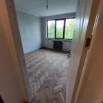 Rent 2 bedroom apartment in Craiova