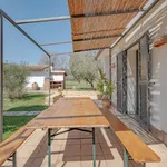 Rent 5 bedroom house of 154 m² in Capalbio