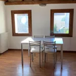 Rent 2 bedroom apartment of 50 m² in Conegliano