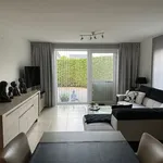 Rent 1 bedroom apartment in Zele