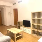 Rent 1 bedroom apartment of 43 m² in Málaga (Parque Litoral)