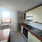 Rent 1 bedroom apartment of 43 m² in Rovellasca