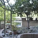 Rent 1 bedroom apartment in Rome