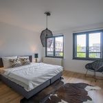 Rent 1 bedroom apartment of 106 m² in Rotterdam