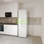 Rent 2 bedroom apartment of 31 m² in Brno