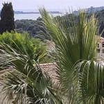 Rent 1 bedroom apartment of 30 m² in Antibes