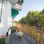 Rent 4 bedroom apartment in Granada