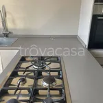 Rent 5 bedroom apartment of 167 m² in Bologna