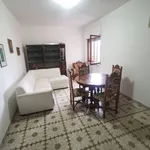 Rent 3 bedroom apartment of 75 m² in Catanzaro