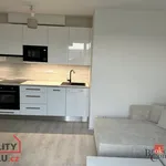 Pronájem, byty/2+kk, 42 m2, U Sladovny, 33805 Mýto, Rokycany [ID 62575]