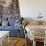 Rent 2 bedroom apartment of 49 m² in Ajaccio