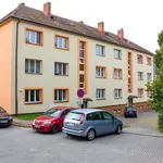 Rent 1 bedroom apartment in Blansko