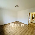 Rent 1 bedroom apartment in Ostrava