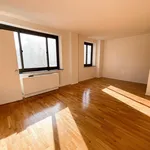 Rent 1 bedroom apartment in New York