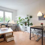 Rent 1 bedroom apartment of 30 m² in berlin