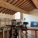 Rent 6 bedroom apartment of 140 m² in Lucca