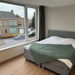 Huur 2 slaapkamer appartement van 50 m² in Kasteel West