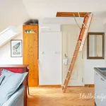 Rent 1 bedroom apartment of 51 m² in Prague