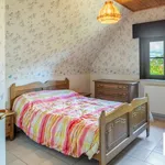 Rent 4 bedroom house in Berlare