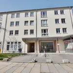 Rent 2 bedroom apartment of 48 m² in Chemnitz