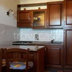 Rent 2 bedroom apartment of 81 m² in Arezzo