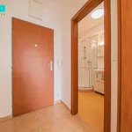 Rent 1 bedroom apartment of 33 m² in Olomouc