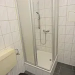 Rent 2 bedroom apartment of 48 m² in Chemnitz