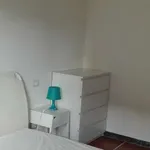 Rent a room in bologna