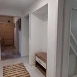 Rent 1 bedroom apartment of 54 m² in Pécs