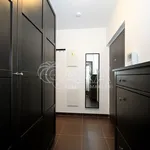 Rent 2 bedroom apartment in Capital City of Prague