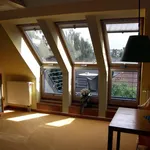 Rent 1 bedroom apartment of 40 m² in Cologne