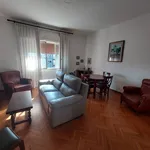 Rent 5 bedroom apartment of 170 m² in Padua