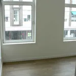 Huur 1 slaapkamer appartement van 40 m² in Arnhem