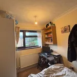 Rent 1 bedroom house in Norwich