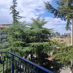 Rent 4 bedroom apartment of 124 m² in Catania