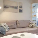 Rent 1 bedroom apartment in madrid