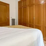 Rent a room in madrid