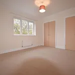 Rent 4 bedroom house in Basingstoke and Deane