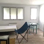 Rent 1 bedroom apartment of 24 m² in SUR LOT