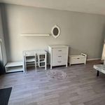 Rent 1 bedroom apartment of 23 m² in Nancy