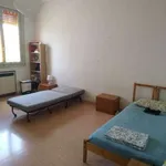 Rent 3 bedroom apartment of 70 m² in Bologna