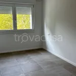 Rent 2 bedroom apartment of 53 m² in Bologna