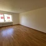 Rent 3 bedroom apartment in Zurich