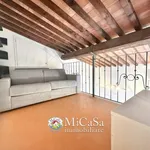 Rent 1 bedroom apartment of 58 m² in pisa