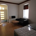 Rent 1 bedroom apartment of 30 m² in Hanover