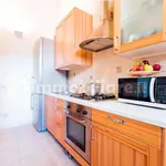 Rent 2 bedroom apartment of 50 m² in Rome